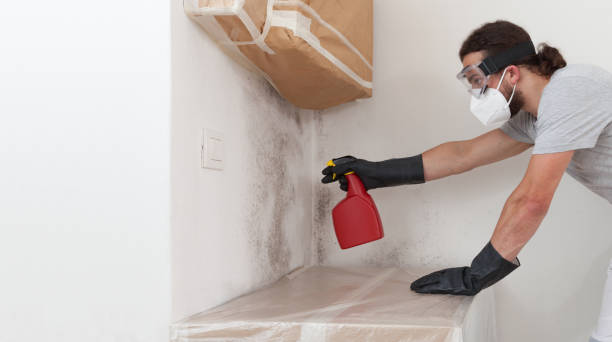 Professional Mold Testing technician working in Stoughton, MA